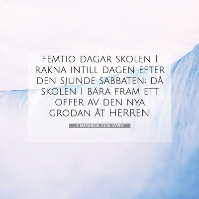 Picture 07 - 3 Mosebok 23:16 SV1917 - femtio dagar skolen I räkna intill dagen efter - Bible Verse Picture