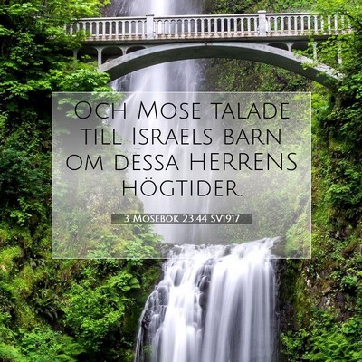 Picture 07 - 3 Mosebok 23:44 SV1917 - Och Mose talade till Israels barn om dessa - Bible Verse Picture