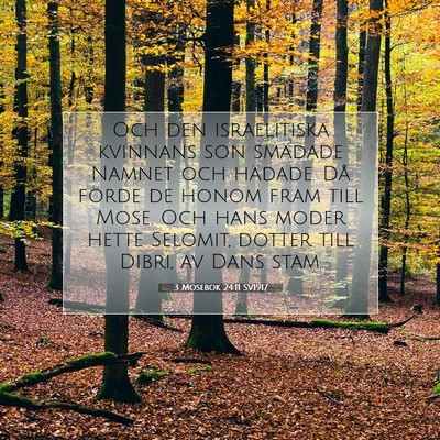 Picture 07 - 3 Mosebok 24:11 SV1917 - Och den israelitiska kvinnans son smädade Namnet - Bible Verse Picture