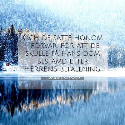 Picture 07 - 3 Mosebok 24:12 SV1917 - Och de satte honom i förvar, för att de skulle - Bible Verse Picture