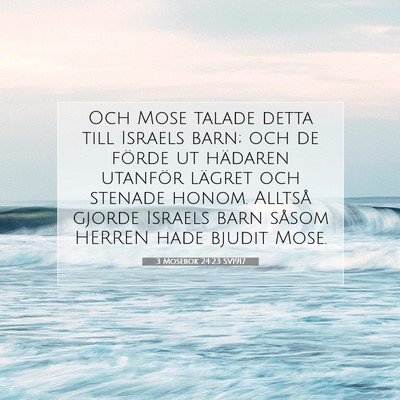 Picture 07 - 3 Mosebok 24:23 SV1917 - Och Mose talade detta till Israels barn; och de - Bible Verse Picture