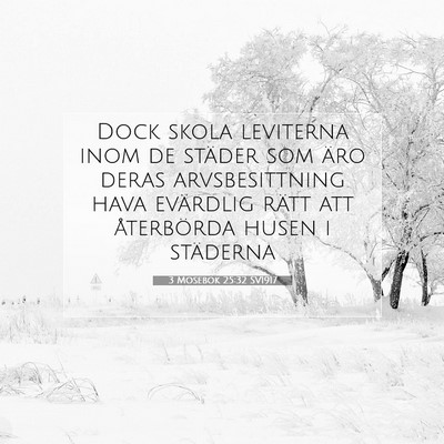 Picture 07 - 3 Mosebok 25:32 SV1917 - Dock skola leviterna inom de städer som äro - Bible Verse Picture