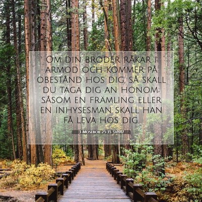 Picture 07 - 3 Mosebok 25:35 SV1917 - Om din broder råkar i armod och kommer på - Bible Verse Picture