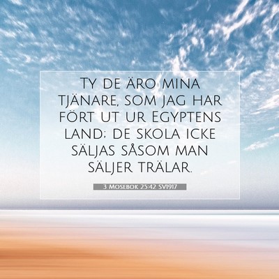 Picture 07 - 3 Mosebok 25:42 SV1917 - Ty de äro mina tjänare, som jag har fört ut ur - Bible Verse Picture