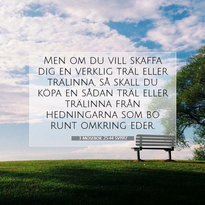 Picture 07 - 3 Mosebok 25:44 SV1917 - Men om du vill skaffa dig en verklig träl eller - Bible Verse Picture