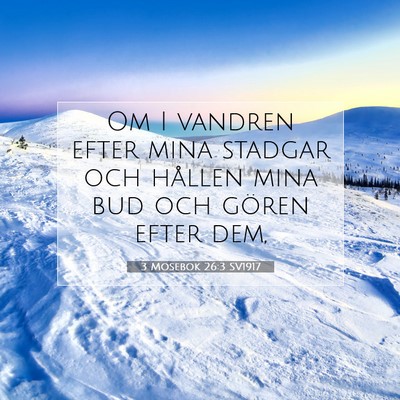 Picture 07 - 3 Mosebok 26:3 SV1917 - Om I vandren efter mina stadgar och hållen mina - Bible Verse Picture