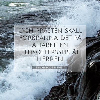 Picture 07 - 3 Mosebok 3:11 SV1917 - Och prästen skall förbränna det på altaret: - Bible Verse Picture
