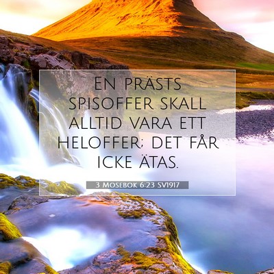 Picture 07 - 3 Mosebok 6:23 SV1917 - En prästs spisoffer skall alltid vara ett - Bible Verse Picture