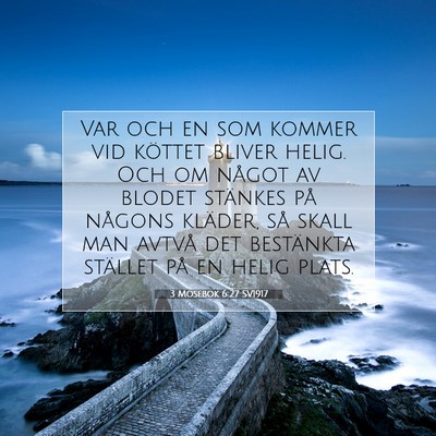 Picture 07 - 3 Mosebok 6:27 SV1917 - Var och en som kommer vid köttet bliver helig. - Bible Verse Picture
