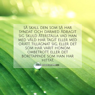 Picture 07 - 3 Mosebok 6:4 SV1917 - så skall den som så har syndat Och därmed - Bible Verse Picture