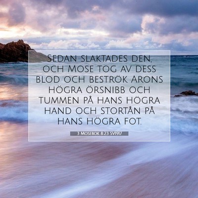 Picture 07 - 3 Mosebok 8:23 SV1917 - Sedan slaktades den, och Mose tog av dess blod - Bible Verse Picture