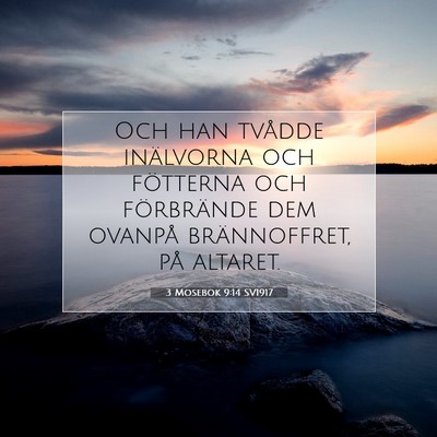 Picture 07 - 3 Mosebok 9:14 SV1917 - Och han tvådde inälvorna och fötterna och - Bible Verse Picture