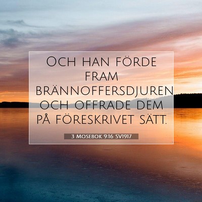 Picture 07 - 3 Mosebok 9:16 SV1917 - Och han förde fram brännoffersdjuren och - Bible Verse Picture