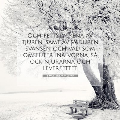 Picture 07 - 3 Mosebok 9:19 SV1917 - Och fettstyckena av tjuren, samt av väduren - Bible Verse Picture
