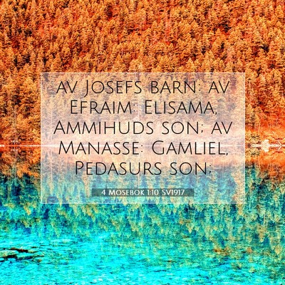 Picture 07 - 4 Mosebok 1:10 SV1917 - av Josefs barn: av Efraim: Elisama, Ammihuds son; - Bible Verse Picture