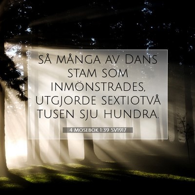Picture 07 - 4 Mosebok 1:39 SV1917 - så många av Dans stam som inmönstrades, - Bible Verse Picture