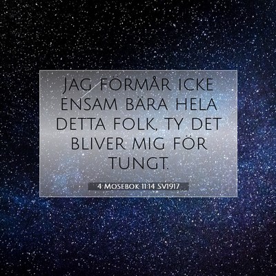 Picture 07 - 4 Mosebok 11:14 SV1917 - Jag förmår icke ensam bära hela detta folk, ty - Bible Verse Picture