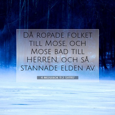 Picture 07 - 4 Mosebok 11:2 SV1917 - Då ropade folket till Mose, och Mose bad till - Bible Verse Picture