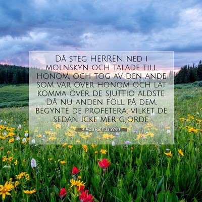 Picture 07 - 4 Mosebok 11:25 SV1917 - Då steg HERREN ned i molnskyn och talade till - Bible Verse Picture