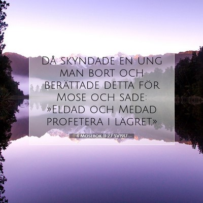 Picture 07 - 4 Mosebok 11:27 SV1917 - Då skyndade en ung man bort och berättade detta - Bible Verse Picture