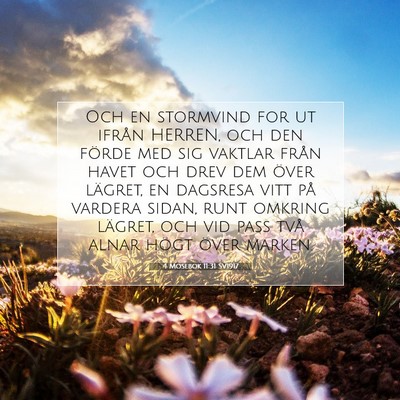 Picture 07 - 4 Mosebok 11:31 SV1917 - Och en stormvind for ut ifrån HERREN, och den - Bible Verse Picture