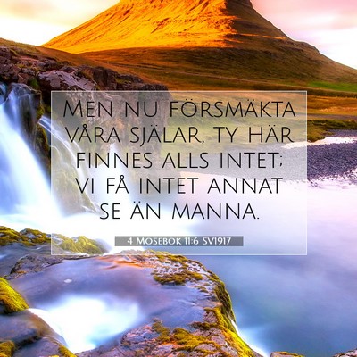 Picture 07 - 4 Mosebok 11:6 SV1917 - Men nu försmäkta våra själar, ty här finnes - Bible Verse Picture