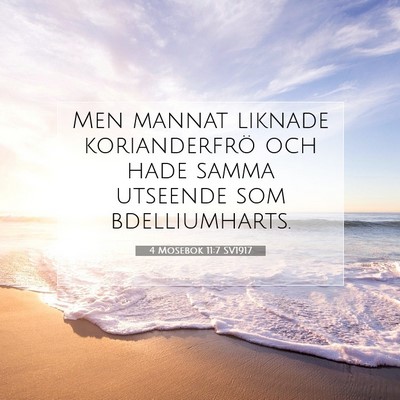 Picture 07 - 4 Mosebok 11:7 SV1917 - Men mannat liknade korianderfrö och hade samma - Bible Verse Picture