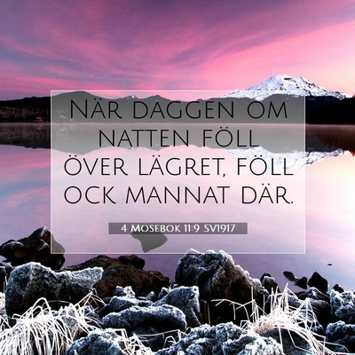 Picture 07 - 4 Mosebok 11:9 SV1917 - När daggen om natten föll över lägret, föll - Bible Verse Picture
