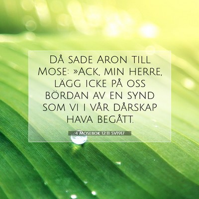 Picture 07 - 4 Mosebok 12:11 SV1917 - Då sade Aron till Mose: »Ack, min herre, lägg - Bible Verse Picture