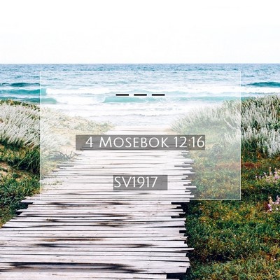Picture 07 - 4 Mosebok 12:16 SV1917 -  - Bible Verse Picture