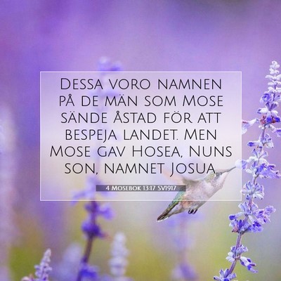 Picture 07 - 4 Mosebok 13:17 SV1917 - Dessa voro namnen på de män som Mose sände - Bible Verse Picture