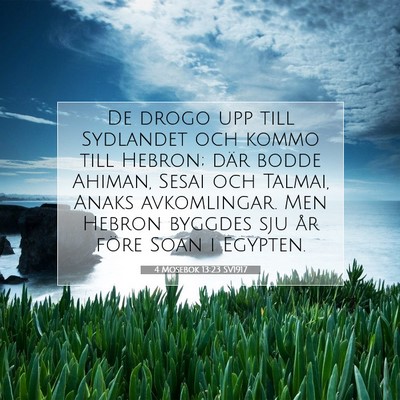 Picture 07 - 4 Mosebok 13:23 SV1917 - De drogo upp till Sydlandet och kommo till - Bible Verse Picture