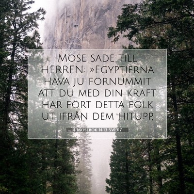 Picture 07 - 4 Mosebok 14:13 SV1917 - Mose sade till HERREN: »Egyptierna hava ju - Bible Verse Picture