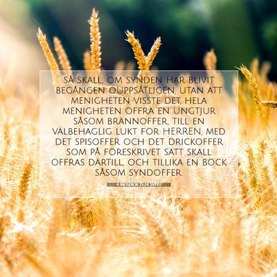 Picture 07 - 4 Mosebok 15:24 SV1917 - så skall, om synden har blivit begången - Bible Verse Picture