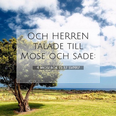 Picture 07 - 4 Mosebok 15:37 SV1917 - Och HERREN talade till Mose och - Bible Verse Picture