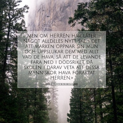 Picture 07 - 4 Mosebok 16:30 SV1917 - men om HERREN här låter något alldeles nytt - Bible Verse Picture