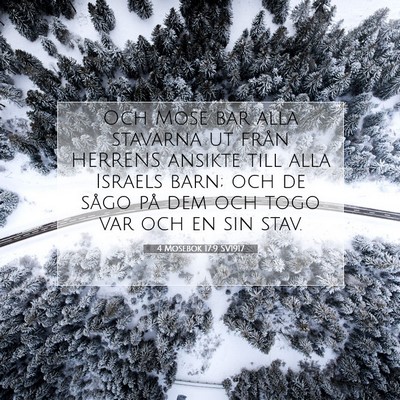 Picture 07 - 4 Mosebok 17:9 SV1917 - Och Mose bar alla stavarna ut från HERRENS - Bible Verse Picture