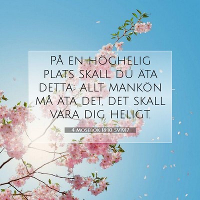 Picture 07 - 4 Mosebok 18:10 SV1917 - På en höghelig plats skall du äta detta; allt - Bible Verse Picture