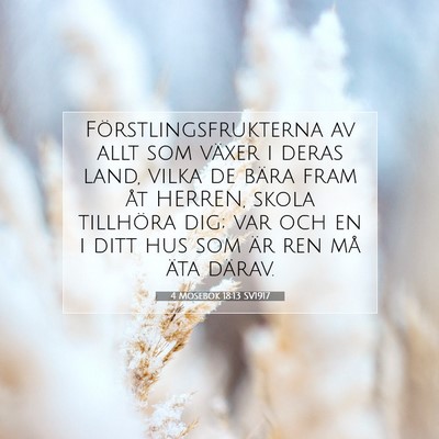 Picture 07 - 4 Mosebok 18:13 SV1917 - Förstlingsfrukterna av allt som växer i deras - Bible Verse Picture