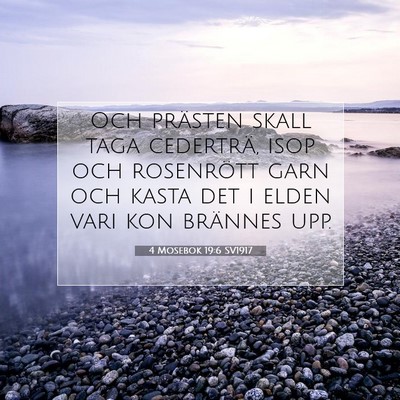 Picture 07 - 4 Mosebok 19:6 SV1917 - Och prästen skall taga cederträ, isop och - Bible Verse Picture