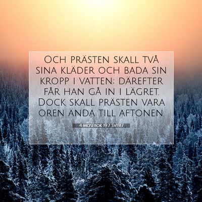 Picture 07 - 4 Mosebok 19:7 SV1917 - Och prästen skall två sina kläder och bada sin - Bible Verse Picture
