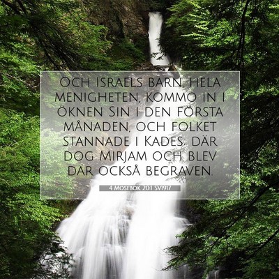Picture 07 - 4 Mosebok 20:1 SV1917 - Och Israels barn, hela menigheten, kommo in i - Bible Verse Picture