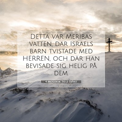 Picture 07 - 4 Mosebok 20:13 SV1917 - Detta var Meribas vatten, där Israels barn - Bible Verse Picture