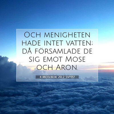 Picture 07 - 4 Mosebok 20:2 SV1917 - Och menigheten hade intet vatten; då församlade - Bible Verse Picture