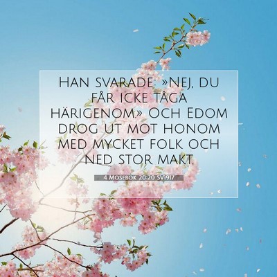 Picture 07 - 4 Mosebok 20:20 SV1917 - Han svarade: »Nej, du får icke tåga - Bible Verse Picture