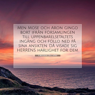 Picture 07 - 4 Mosebok 20:6 SV1917 - Men Mose och Aron gingo bort ifrån församlingen - Bible Verse Picture