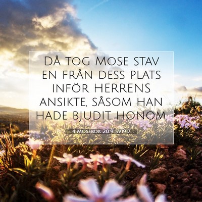 Picture 07 - 4 Mosebok 20:9 SV1917 - Då tog Mose stav en från dess plats inför - Bible Verse Picture