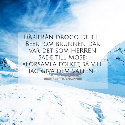 Picture 07 - 4 Mosebok 21:16 SV1917 - Därifrån drogo de till Beeri om brunnen där - Bible Verse Picture