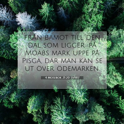 Picture 07 - 4 Mosebok 21:20 SV1917 - från Bamot till den dal som ligger: på Moabs - Bible Verse Picture