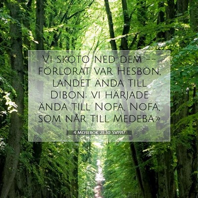 Picture 07 - 4 Mosebok 21:30 SV1917 - Vi sköto ned dem -- förlorat var Hesbon, landet - Bible Verse Picture